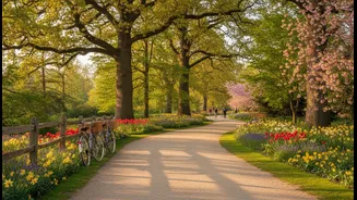 Regular Contact With Others Can Encourage Activity And Routine