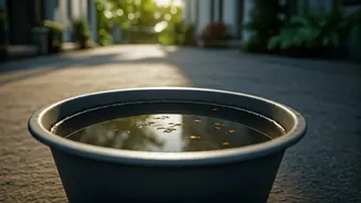 Smaller Cities Need Water-Tray Awareness Too