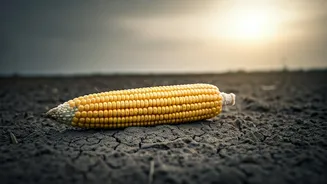 Food Bills May Rise If Monsoon Stays Below Normal