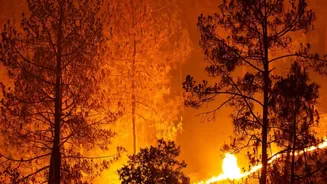 FireSat’s AI And Infrared Sensors Could Spot Fires Before Humans Do