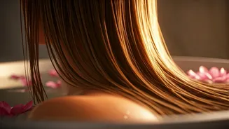 Related Stories banner