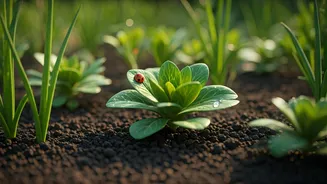 Garden Prevention Is June's Most Useful Plant Task