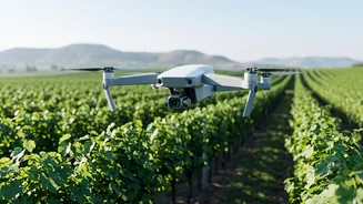 How Drone-Based AI Systems Detect Early Downy Mildew Signs In Nashik Vineyards