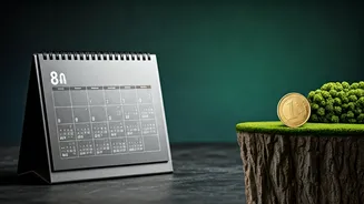 Secure A Safe Six-Month Reserve Before Venturing Into High-Risk Investments