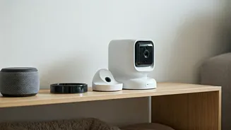 Smart Homes Now Think About Pets
