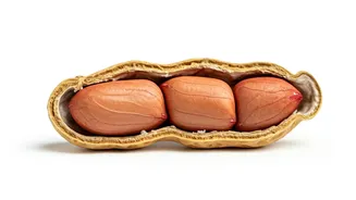 Peanut Introduction: A Guide for Parents