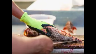 Understanding Raw Fish Safety in India: Tips for Monsoon Season