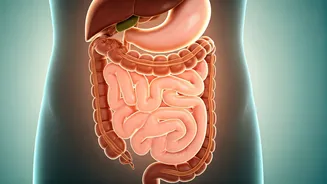 Doctors Want You To Avoid Gut Drama