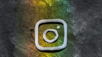 Instagram Food Culture: How Visual Appeal Is Shaping Restaurant Innovation