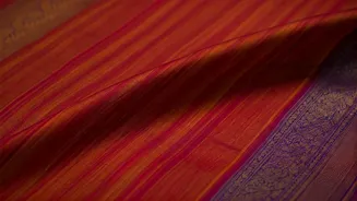 Decoding the Kanjivaram: Spotting Authentic Silk Sarees