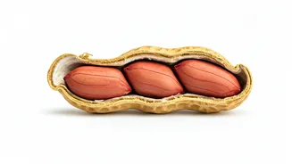 Peanut Allergies: Understanding the Causes & Risks