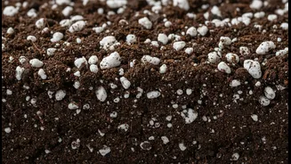 How Perlite Volcanic Glass Granules Create Impermeable Oxygen Pockets In Dense Monsoonal Potted Soil