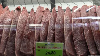 UE veta importações de carne e animais do Brasil