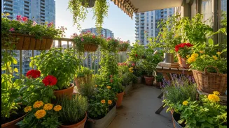Why green balcony makeovers enhance property value for urban renters loving plants