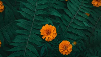 This Monsoon Decor Secret Involves Native Marigold Ferns