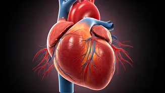 Heart Blockage Clues: Beyond Good Blood Pressure - What Tests Reveal