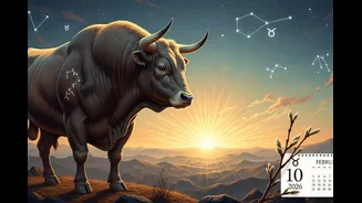 Related Stories banner