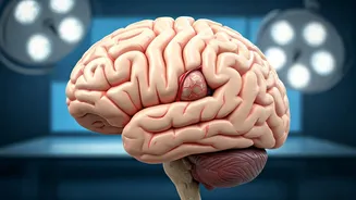 Brain Aneurysms: Know The Risks And Symptoms