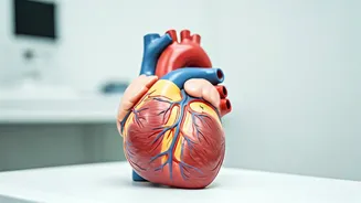 Cardiologist's Guide: Ageing Gracefully in India