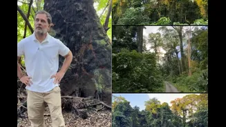 ‘Biggest Scam Against Natural Heritage’: Rahul Gandhi Targets Centre Over Great Nicobar Project