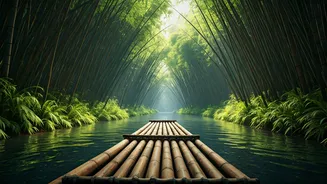 Bamboo Rafting Offers India's Most Peaceful Adventure