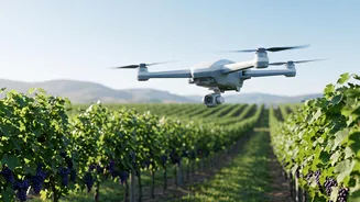 AI drones to protect Nashik grape crops