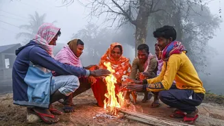 Dense fog, cold wave alert in parts of North India
