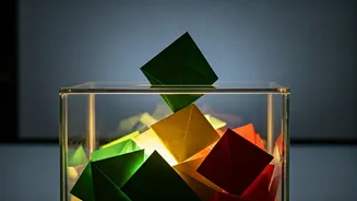 EC's SIR Announcement: Key Steps and Rollout