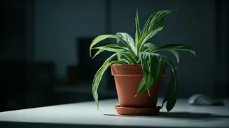 Related Stories banner