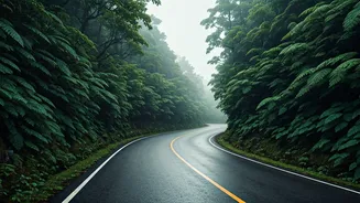 Coorg, Sakleshpur, Chikmagalur: Plan Before You Drive