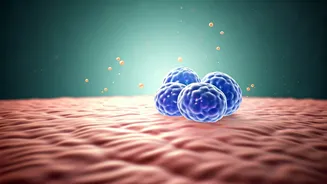 Bryan Johnson's 9-Year Skin Age Reversal: Unpacking the Biohacker's Skincare Secrets