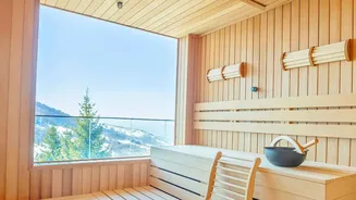 Understanding the physiological benefits of passive heat exposure in modern infrared sauna cabins