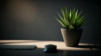 Indian Offices Need This Low-Effort Health Habit
