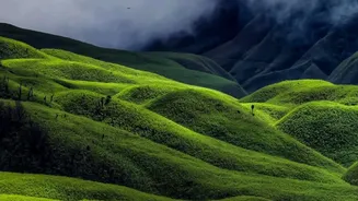 Coasts and Clouded Hills Shape Tamil Nadu's Rainy-Season Route