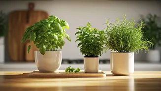 Kitchen-Useful Plants Are Turning Homes Greener
