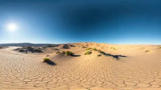 Kutch: India's Vastest District - A Land of Extremes and Rich Heritage