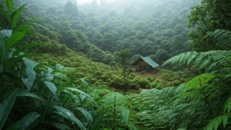 Explore Wayanad Lush Valleys For Offbeat Early Monsoon Eco Camping