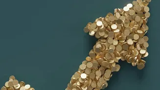 Indians Sent About $2.65 Billion Abroad for Equity and Debt Investments