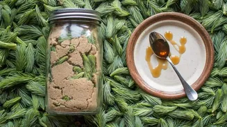 How to use spruce tips in your diet