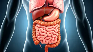 5 Healthy Habits: Body Transformations