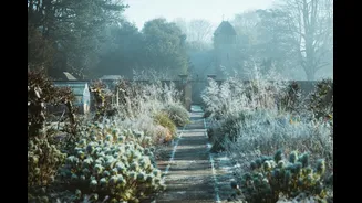 Winter Gardening Tips for Indian Homes