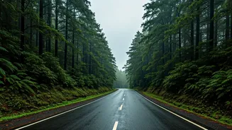 Driving In Western Ghats? Red Alert Safety Checklist