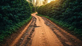 Coorg Coffee Stays Need Road Updates Too