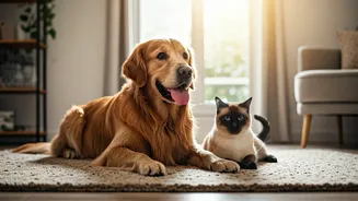 Related Stories banner