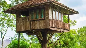 How Bamboo Treehouses And Rain Harvesting Create Sustainable Wayanad Escapes