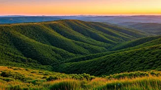 Mizoram: Explore Culture and Scenic Beauty
