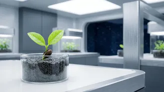 Space-Exposed Seeds Could Inform Food Planning For Long Moon And Mars Missions