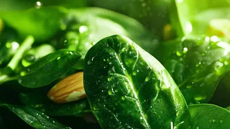 A Varied Rainy-Season Diet Can Include Citrus, Spinach and Almonds
