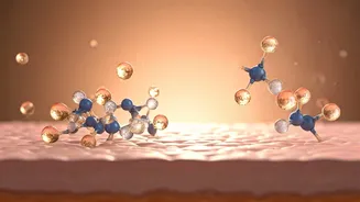 Ceramide Products Are Flying Off Beauty Shelves
