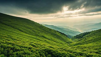 Rain-Kissed Destinations Perfect For A Refresh